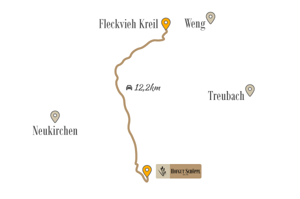 kreil_entfernung.jpg